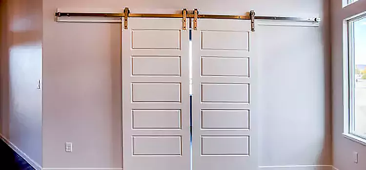 Glass Barn Door with Installation Hardware Kit Brookfield