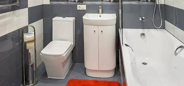 Hansgrohe Shaving Mirror Brookfield